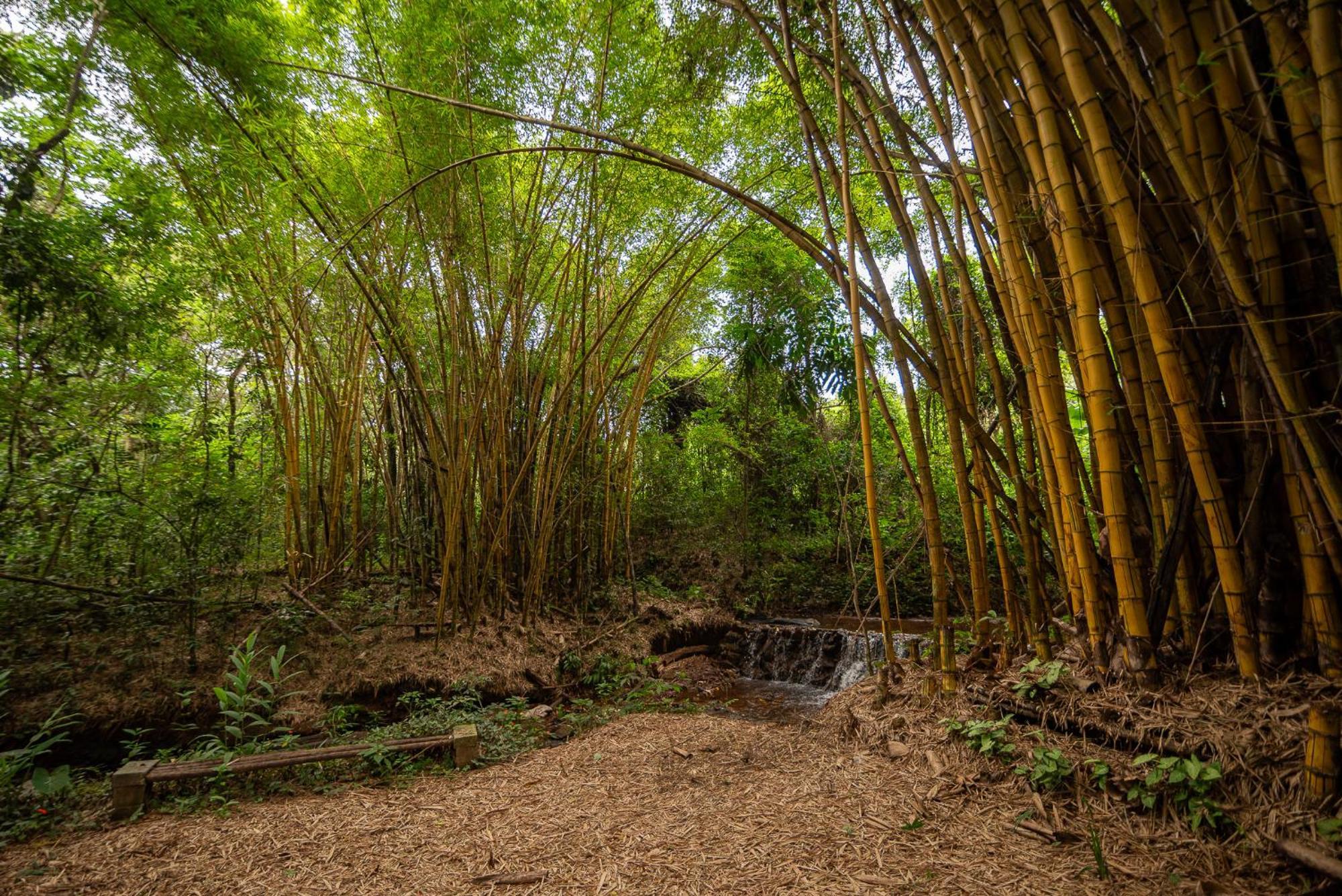Hotel Espaco Viverde Pousada E Retiros Brumadinho Exteriér fotografie